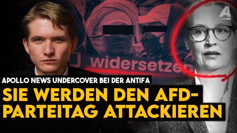 Mehr über den Artikel erfahren Der Antifa-Plan gegen die AfD