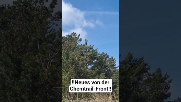 Mehr über den Artikel erfahren ‼️Neues von der Chemtrail-Front‼️