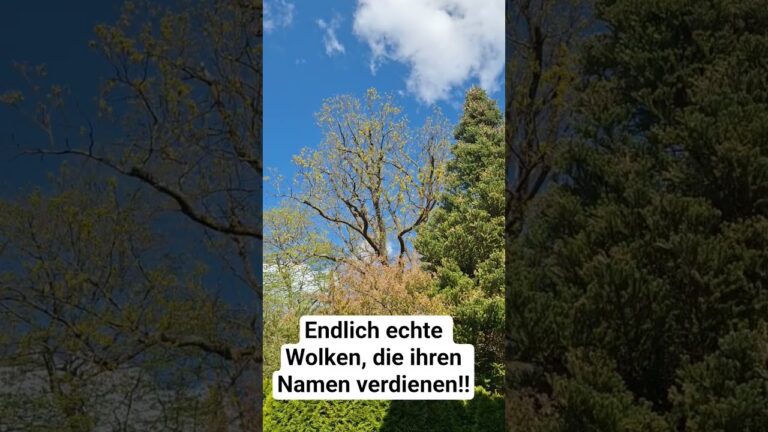 Mehr über den Artikel erfahren Endlich echte Wolken, die ihren Namen verdienen‼️