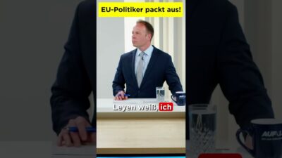 Mehr über den Artikel erfahren 𝗘𝗨-𝗣𝗼𝗹𝗶𝘁𝗶𝗸𝗲𝗿 𝗽𝗮𝗰𝗸𝘁 𝗮𝘂𝘀! Darum kann von der Leyen alles tun