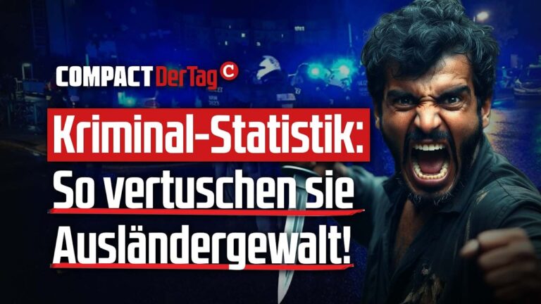 Mehr über den Artikel erfahren Kriminalstatistik: So vertuschen sie Ausländergewalt!💥