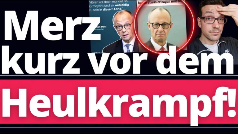 Mehr über den Artikel erfahren Merz erlebt Total-Schaden im SPIEGEL Interview!
