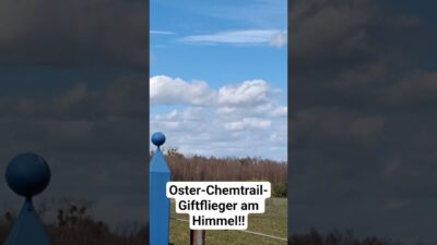 Mehr über den Artikel erfahren Oster-Chemtrail-Giftflieger am Himmel‼️