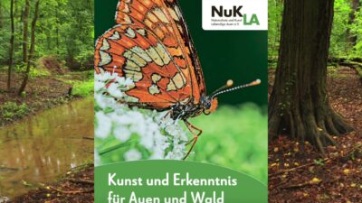Mehr über den Artikel erfahren Ungeliebter Auwald Leipzig? Teil 2: Forstwirtschaft darf malträtieren?