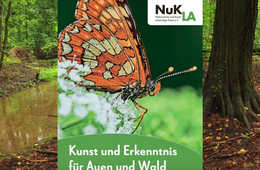 Ungeliebter Auwald Leipzig? Teil 2: Forstwirtschaft darf malträtieren?