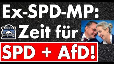 Mehr über den Artikel erfahren ‚AfD ist nicht die Ausgeburt der Hölle‘ – Ex-Ministerpräsident mit brutaler Wahrheit zur SPD!