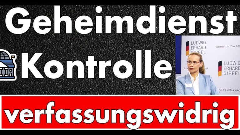 Mehr über den Artikel erfahren AfD wird verfassungswidrig behandelt! Brosius-Gersdorf bricht Lanze für die AfD