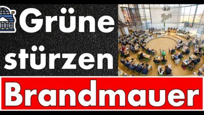 Mehr über den Artikel erfahren Brandmauer fällt: AfD stimmt für Grüne – und die bekommen Panik vor der Demokratie