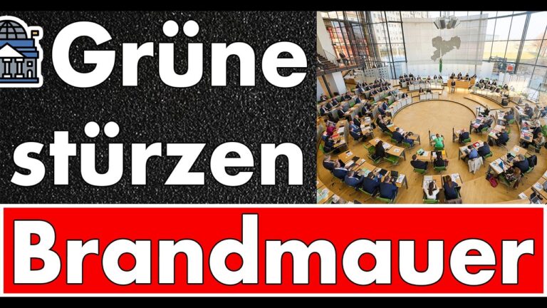Mehr über den Artikel erfahren Brandmauer fällt: AfD stimmt für Grüne – und die bekommen Panik vor der Demokratie