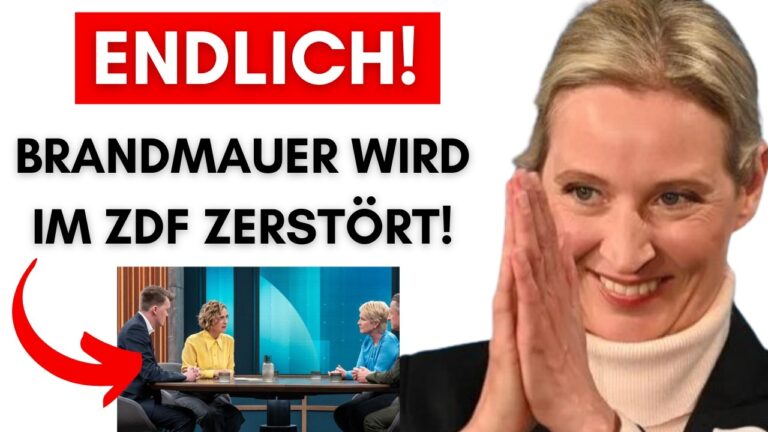 Mehr über den Artikel erfahren Braundmauer wird endlich im ZDF zerstört + AfD gewinnt ersten Bürgermeister in Brandenburg!