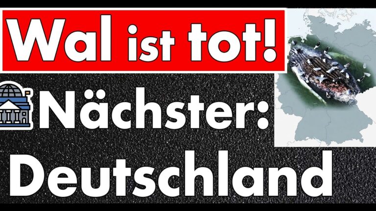 Mehr über den Artikel erfahren Experten, Gerichte und Politiker haben den Wal getötet – und Deutschland droht dasselbe Schicksal!