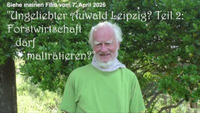 Mehr über den Artikel erfahren Forst-, Wald- und Naturfrevel im Leipziger Auwald mit Gedanken zur Sozialpflichtigkeit und mehr.