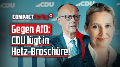 Mehr über den Artikel erfahren Gegen AfD: CDU lügt in Hetzbroschüre!💥