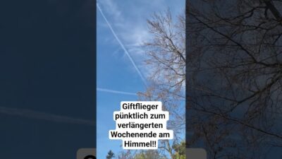 Mehr über den Artikel erfahren Giftflieger pünktlich zum verlängerten Wochenende am Himmel‼️