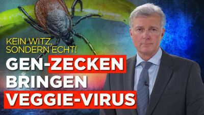 Mehr über den Artikel erfahren Kein Witz, sondern echt! Gen-Zecken bringen Veggie-Virus