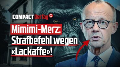 Mehr über den Artikel erfahren Mimimi-Merz: Strafbefehl wegen «Lackaffe»!💥