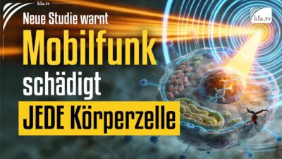 Mehr über den Artikel erfahren Neue Studie warnt: Mobilfunk schädigt JEDE Körperzelle!