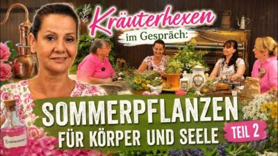 Mehr über den Artikel erfahren Rosenwasser, Holunder & Thymian: Die Kraft der Heilpflanzen