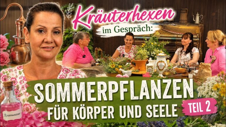 Mehr über den Artikel erfahren Rosenwasser, Holunder & Thymian: Die Kraft der Heilpflanzen