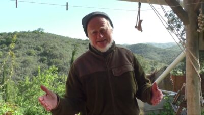 Mehr über den Artikel erfahren Sonn- und Feiertage alle Tage! – Gedanken über gesunde Gemeinschaften von Menschen