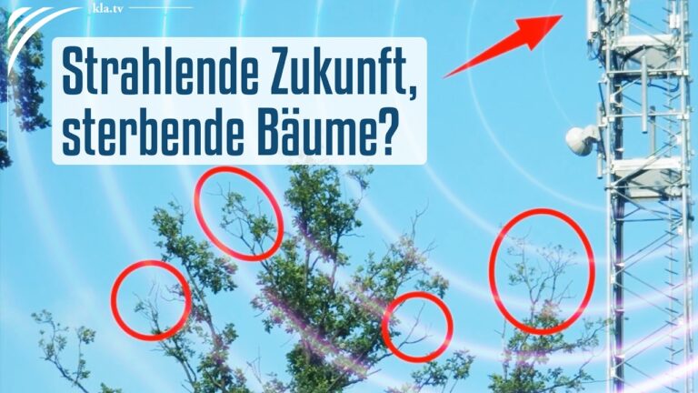 Mehr über den Artikel erfahren Strahlende Zukunft, sterbende Bäume?