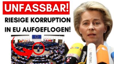Mehr über den Artikel erfahren Über 10 Milliarden geklaut: 3 EU-Länder haben Deutschland betrogen!