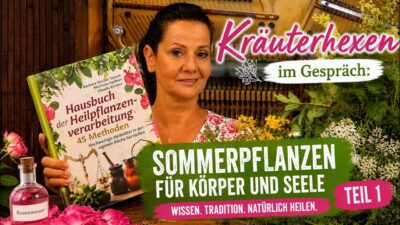 Mehr über den Artikel erfahren Von Lavendel bis Johanniskraut: Die Kraft der Sommerpflanzen