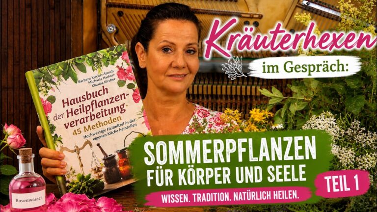 Mehr über den Artikel erfahren Von Lavendel bis Johanniskraut: Die Kraft der Sommerpflanzen