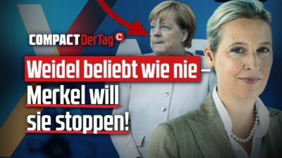 Mehr über den Artikel erfahren Weidel beliebt wie nie – Merkel will sie stoppen!💥