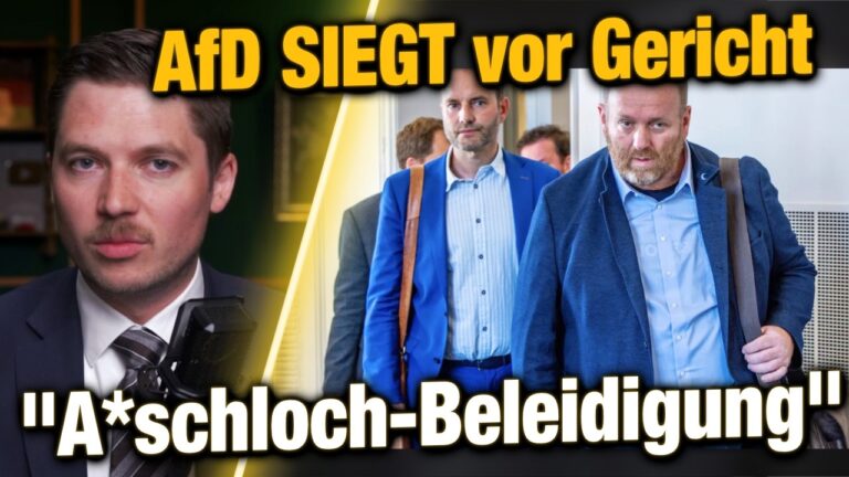 Mehr über den Artikel erfahren AfD siegt vor Gericht: LINKE verliert! „A*schloch ist Beleidigung“