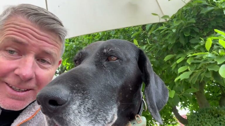 Mehr über den Artikel erfahren ARD & ZDF wat ne Verarsch¥ng.🇩🇪 soll keine Freunde haben. 🏴󠁧󠁢󠁳󠁣󠁴󠁿🇦🇺🇺🇸 zeigen wie es geht. ❤️ Waldi 🙏