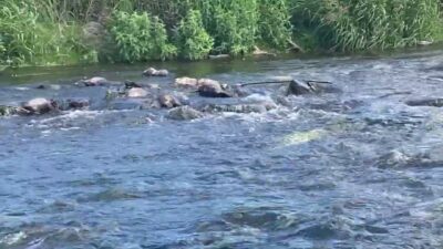 Mehr über den Artikel erfahren Besinnliches am fließenden Wasser  – Ein Film zum Lauschen!