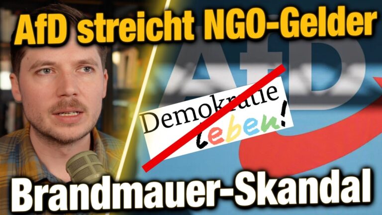 Mehr über den Artikel erfahren CDU stimmt FÜR AfD-Antrag! NGO-Sumpf soll ausgetrocknet werden & LINKE toben!
