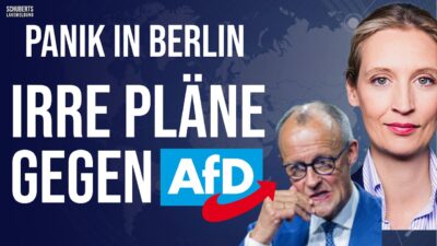 Mehr über den Artikel erfahren DAMIT löst die AfD ein Polit-Beben aus!💥Jetzt drehen sie vollkommen durch💥Habeck: ER ist wieder da!