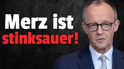 Mehr über den Artikel erfahren 💥Merz GIBT AUF: „Meine Geduld ist am Ende“