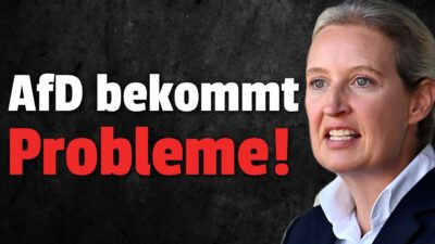 Mehr über den Artikel erfahren 💥Minister will AfD verbieten lassen – Wie realistisch ist das?