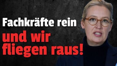 Mehr über den Artikel erfahren 💥Regierung will uns aus den Wohnungen WERFEN für Fachkräfte