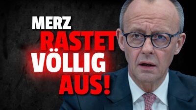 Mehr über den Artikel erfahren 💥WAHNSINN! Merz will AfD RENTENPLAN klauen!!