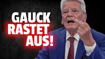 Mehr über den Artikel erfahren 💥Wegen AfD Erfolg: Ex Bundespräsident Gauck brennt die SICHERUNG durch