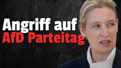 Mehr über den Artikel erfahren 💥WENN DAS wahr ist: GRÜNE wollen AfD Parteitag VERHINDERN?!