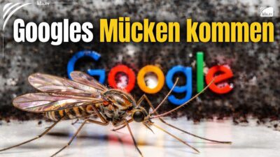 Mehr über den Artikel erfahren Googles Mücken kommen