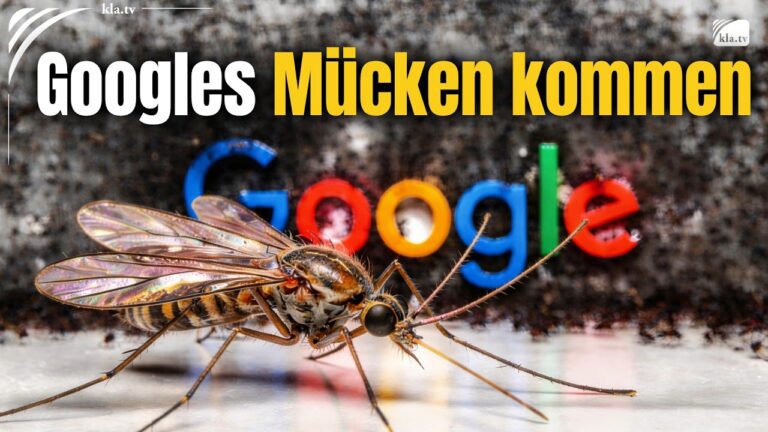 Mehr über den Artikel erfahren Googles Mücken kommen