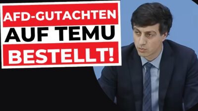 Mehr über den Artikel erfahren Krasse KI-Lügen (AfD-Gutachten)! | Gesellschaft für Freiheitsrechte