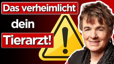 Mehr über den Artikel erfahren Lebensgefahr für dein Tier – Diese Mittel zerstören den Darm