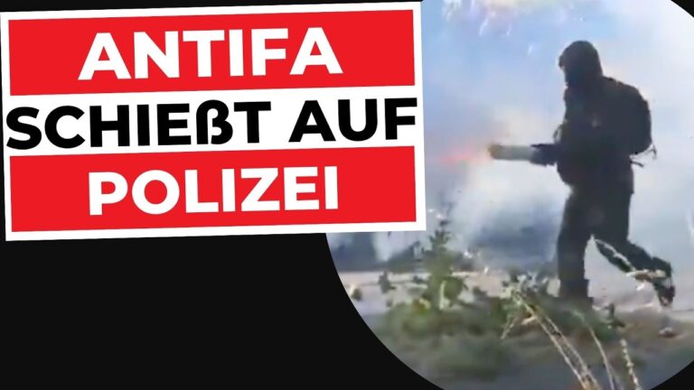 Mehr über den Artikel erfahren Linker Terror, du zahlst! NGO steckt GENF in BRAND! | Innere Sicherheit