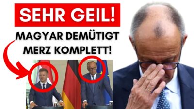 Mehr über den Artikel erfahren Magyar widersprich Kanzler wegen Ukraine & lässt Merz als Lügner dastehen!