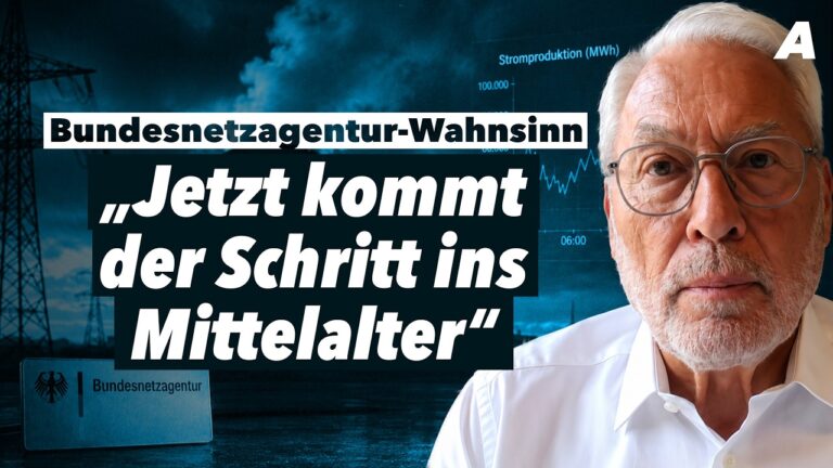 Mehr über den Artikel erfahren „Man wird ganze Regionen abschalten müssen“ – Prof. Fritz Vahrenholt im Interview