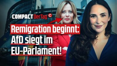 Mehr über den Artikel erfahren Remigration beginnt: AfD siegt im EU-Parlament!💥