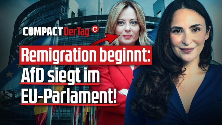 Mehr über den Artikel erfahren Remigration beginnt: AfD siegt im EU-Parlament!💥