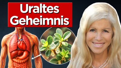 Mehr über den Artikel erfahren Unglaubliche Wirkung von Weihrauch (Pharma hasst den Trick)